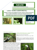 Curso Tecnico Agroforestal (1)
