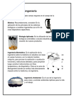 Áreas de La Bioingeniería