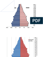 Piramide Poblacional Red Sm 2012