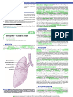 Bronquitis y Traqueítis Aguda