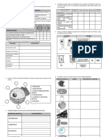 Actividadessobreestructuracelular1 120318122717 Phpapp02