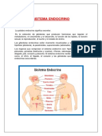 Sistema Endocrin1