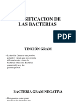 Bacterias Gram