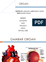 Sistem Reproduksi Tumbuhan Dan Hewan