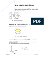 364418903-Tema-09-Campo-Magnetico.pdf