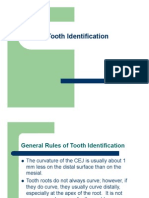 Tooth Identification