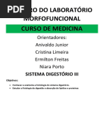 AES 2 06 - Sistema Digestorio 3 e Metabolismo de Lipídios e Proteínas - Professor