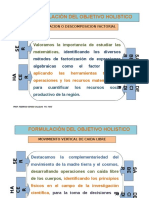 Formulacion Del Objetivo Holistico