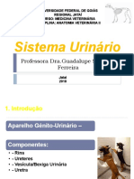 Urinário pdf2018j