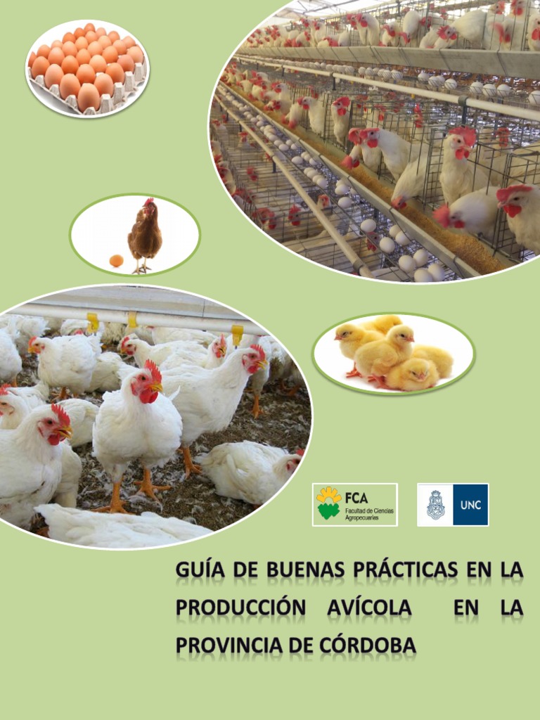 Buenas Prácticas Avícolas en Córdoba | PDF | Aves | Bienestar de los ...