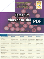 Tema 17 Virus de La Diarrea 2017