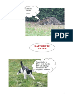 piresm.rapport_clinique_veterinaire_mg.pdf