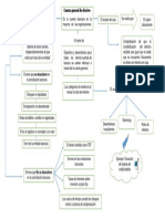 Mapa Conceptual 