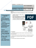 Clase 2 ActividadFisica