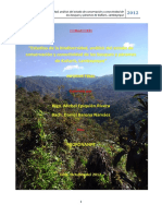 Análisis Del Estado de Conservación de Los Bosques y Páramos de Kañaris