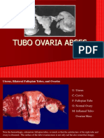Tubo Ovaria Abses