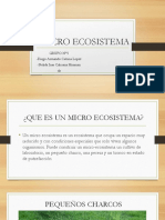 Micro Ecosistema