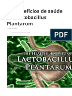 L. Plantarum 3