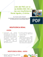 Aplicación Del PAE Con La Taxonomía NANDA NOC 1 (1)