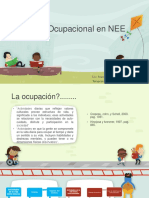 Evaluación Ocupacional de NEE Ponencia