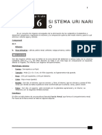 ANATOMÍA-5TO-SECUNDARIA-6.doc