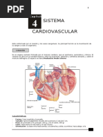 Anatomía 5to Secundaria 4