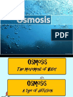 Osmosis Biology