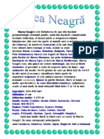 marea neagra3.docx