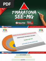 Eduardo Galante - Lei nº 8.069.pdf