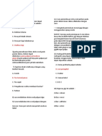 Cara Pemeriksaan Gigi dan Diagnosa Karies