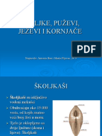 ©KOLJKE, PU®EVI, JE®EVI I KORNJAČE