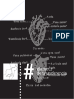 Glamour-de-transferencia-José-Assandri.pdf