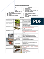 Clasificacion de Ortopteros PDF