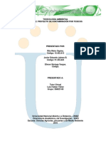 Trabajo Colaborativo Toxicología Ambiental 