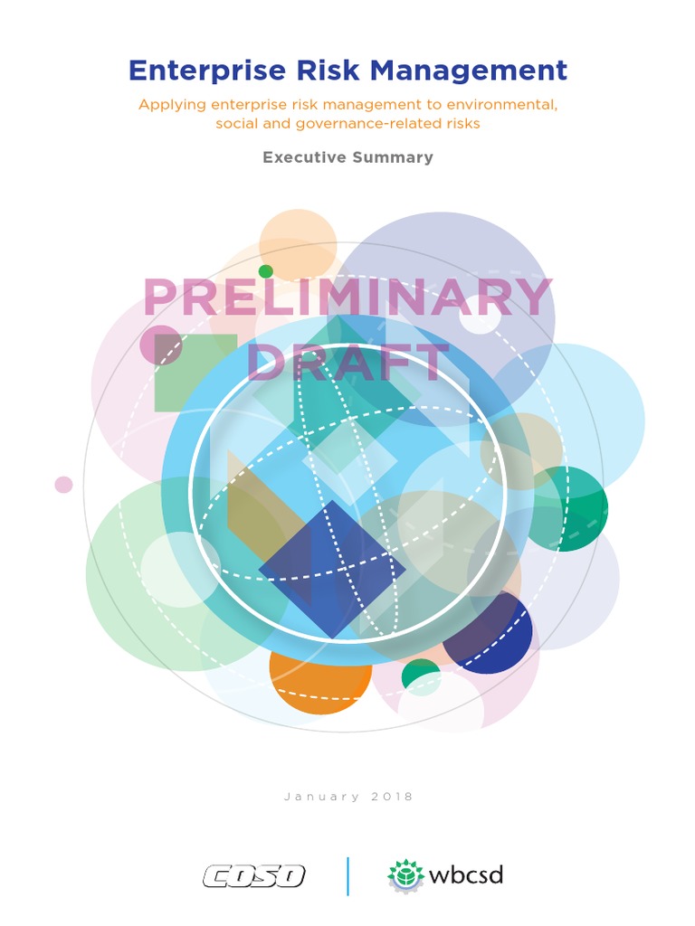 COSO ERM Executive Summary Preliminary Draft Printable PDF | PDF ...