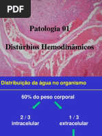 06 Aula Hemodinamicos 1