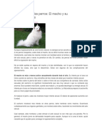 Sexualidad en Los Perros PDF