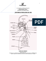 Anatomia e Fisiologia Da Voz PDF