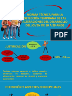 Norma Técnica 10-29años