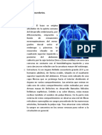 Inmunologia Parte 7 (1)