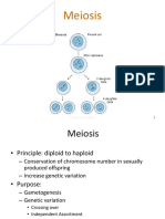 Meiosis Explained: The Process That Halves Chromosome Number