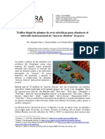 Informe Sobre El "Tráfico Ilegal de Plumas de Aves Selváticas para Abastecer El Mercado Internacional de Moscas Clásicas de Pesca", Por Alejandro Gatti, Hernán Ibáñez & Claudio Bertonatti