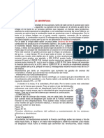 Avance de Encendido Por Fuerzas Centrifugas de VacioBETZA