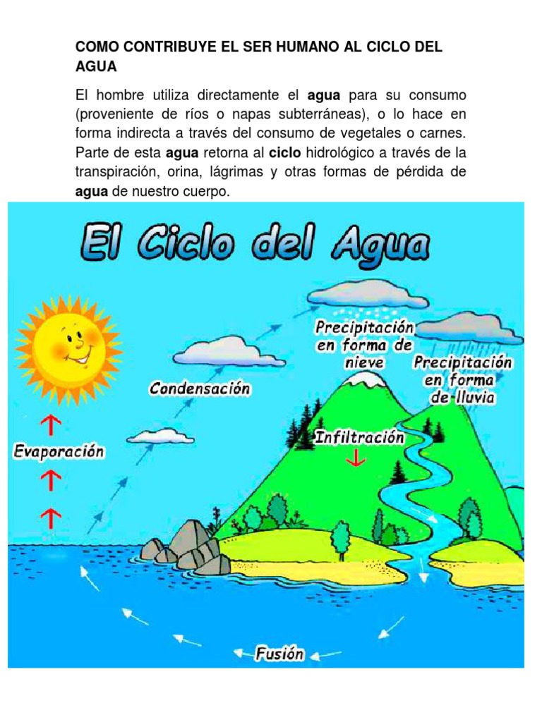 Impacto del ser humano en el ciclo del agua | PDF | Salud y bienestar