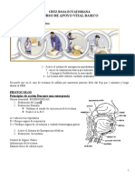 Curso de Apoyo Vital Basico: Cruz Roja Ecuatoriana