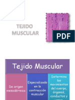 5 Muscular