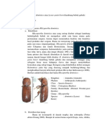 Rhizopertha Dominica Atau Lesser Grain Borer