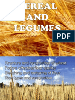 Chapter 6 - Cereals and Legumes