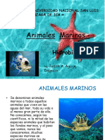 Animales Marinos 
