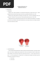 Download Lp Hipertropi Prostat by Ners Angga SN375836341 doc pdf